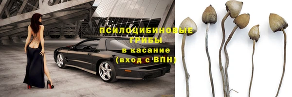 винт Новодвинск